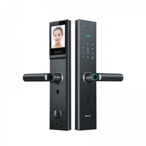 Cửa khóa thông minh Đức Lực C2
